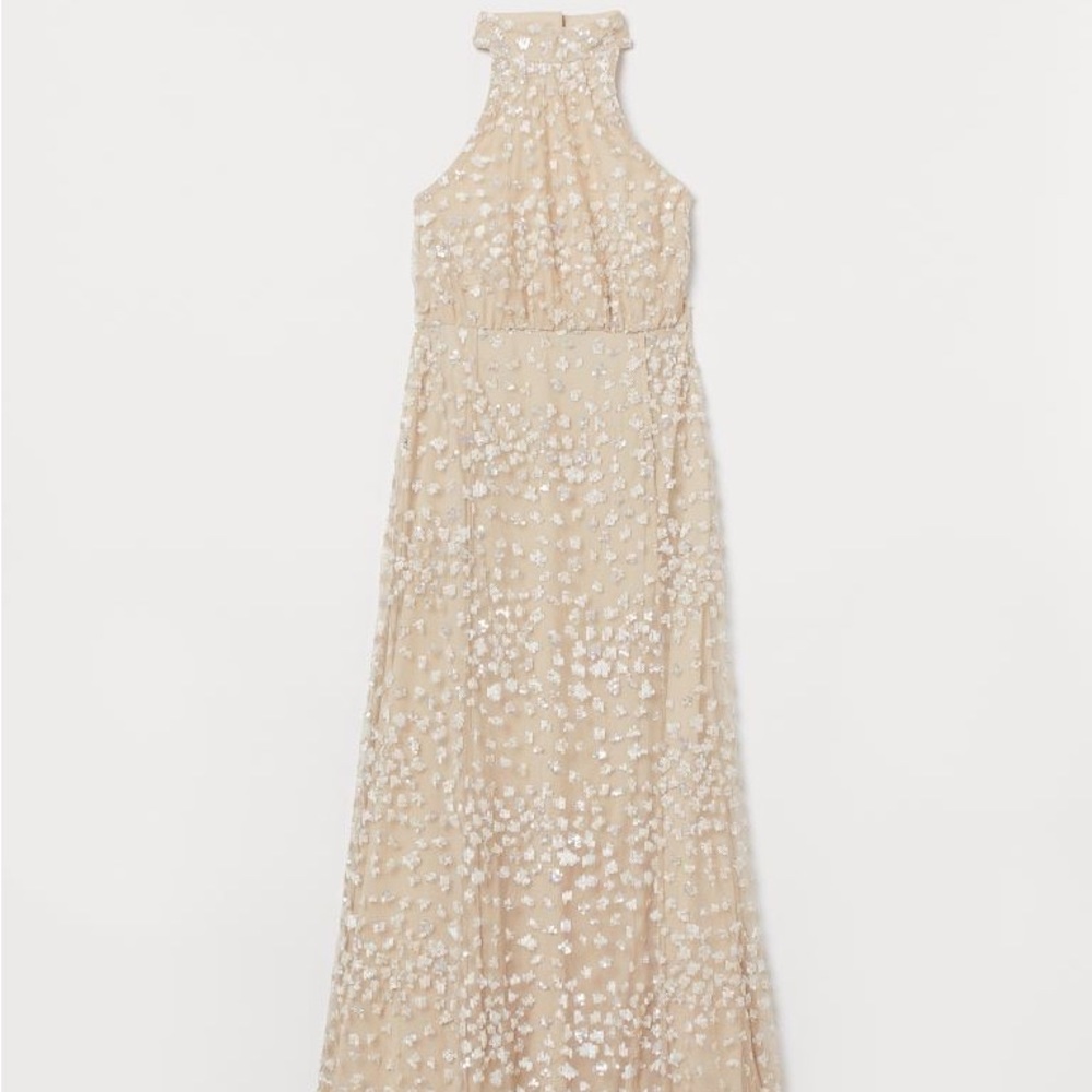 Sequin Embroidered Long Dress